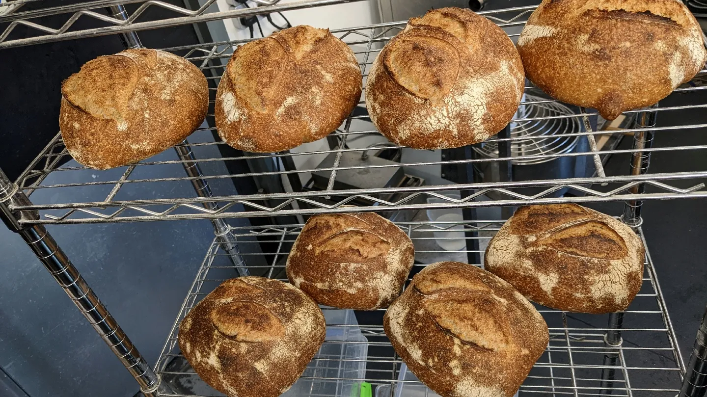 Breadmeister Artisan Bakery · Photos 4